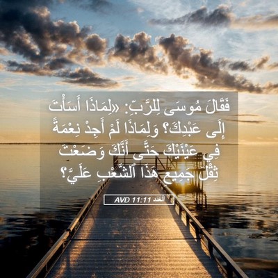 Picture 05 - اَلْعَدَد 11:11 AVD - فَقَالَ مُوسَى لِلرَّبِّ: - Bible Verse Picture