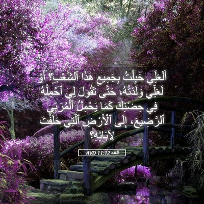 Picture 05 - اَلْعَدَد 11:12 AVD - أَلَعَلِّي حَبِلْتُ - Bible Verse Picture