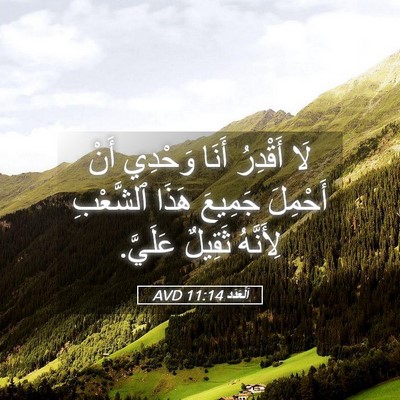 Picture 05 - اَلْعَدَد 11:14 AVD - لَا أَقْدِرُ أَنَا وَحْدِي - Bible Verse Picture