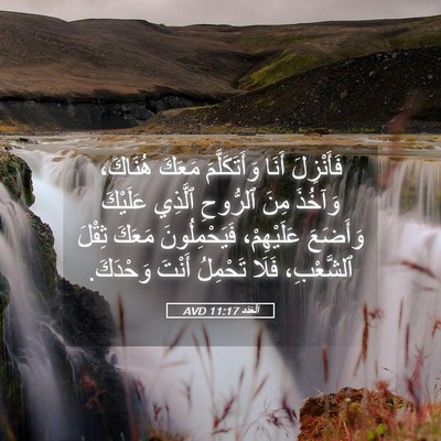 Picture 05 - اَلْعَدَد 11:17 AVD - فَأَنْزِلَ أَنَا - Bible Verse Picture