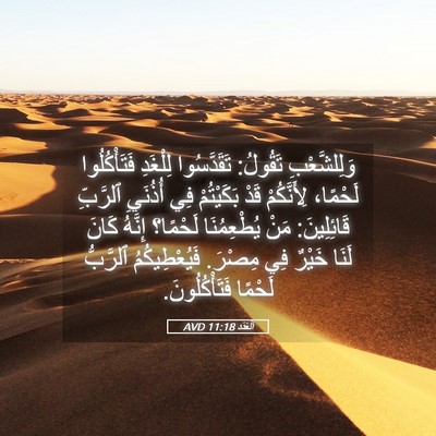 Picture 05 - اَلْعَدَد 11:18 AVD - وَلِلشَّعْبِ تَقُولُ: - Bible Verse Picture