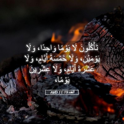 Picture 05 - اَلْعَدَد 11:19 AVD - تَأْكُلُونَ لَا يَوْمًا - Bible Verse Picture