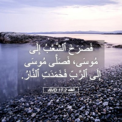 Picture 05 - اَلْعَدَد 11:2 AVD - فَصَرَخَ ٱلشَّعْبُ إِلَى - Bible Verse Picture