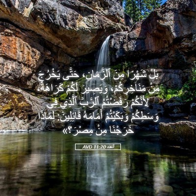 Picture 05 - اَلْعَدَد 11:20 AVD - بَلْ شَهْرًا مِنَ - Bible Verse Picture