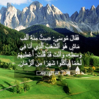 Picture 05 - اَلْعَدَد 11:21 AVD - فَقَالَ مُوسَى: «سِتُّ - Bible Verse Picture