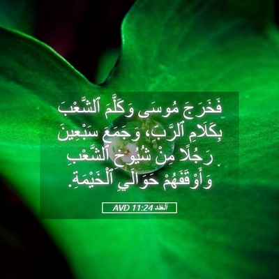 Picture 05 - اَلْعَدَد 11:24 AVD - فَخَرَجَ مُوسَى وَكَلَّمَ - Bible Verse Picture