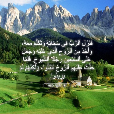 Picture 05 - اَلْعَدَد 11:25 AVD - فَنَزَلَ ٱلرَّبُّ فِي - Bible Verse Picture