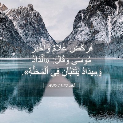 Picture 05 - اَلْعَدَد 11:27 AVD - فَرَكَضَ غُلَامٌ - Bible Verse Picture