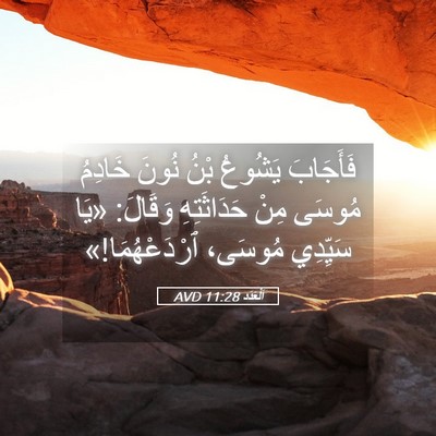 Picture 05 - اَلْعَدَد 11:28 AVD - فَأَجَابَ يَشُوعُ بْنُ - Bible Verse Picture