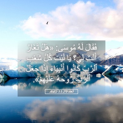 Picture 05 - اَلْعَدَد 11:29 AVD - فَقَالَ لَهُ مُوسَى: «هَلْ - Bible Verse Picture