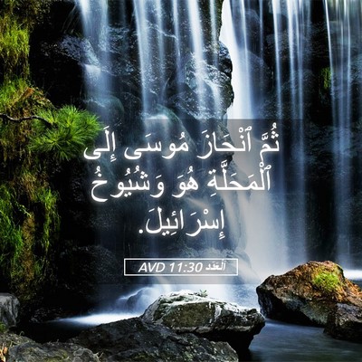 Picture 05 - اَلْعَدَد 11:30 AVD - ثُمَّ ٱنْحَازَ مُوسَى - Bible Verse Picture
