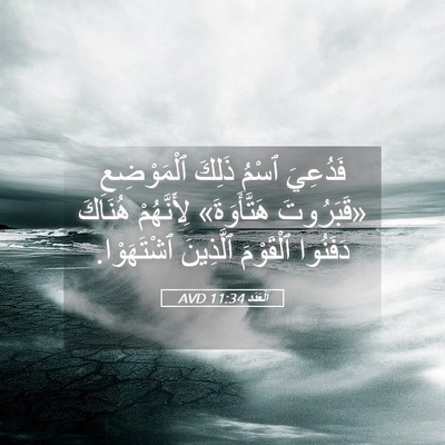 Picture 05 - اَلْعَدَد 11:34 AVD - فَدُعِيَ ٱسْمُ ذَلِكَ - Bible Verse Picture