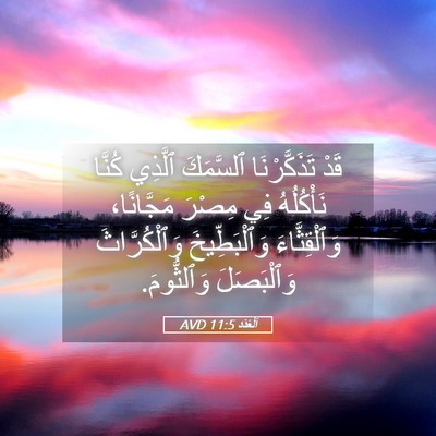 Picture 05 - اَلْعَدَد 11:5 AVD - قَدْ تَذَكَّرْنَا - Bible Verse Picture