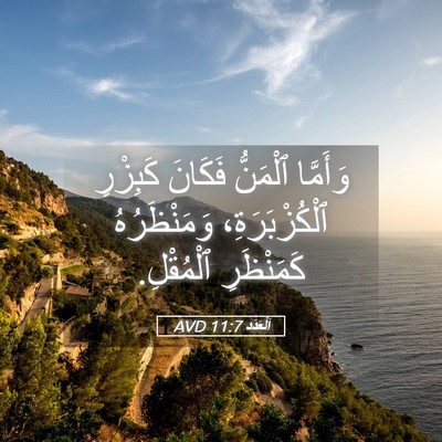 Picture 05 - اَلْعَدَد 11:7 AVD - وَأَمَّا ٱلْمَنُّ فَكَانَ - Bible Verse Picture