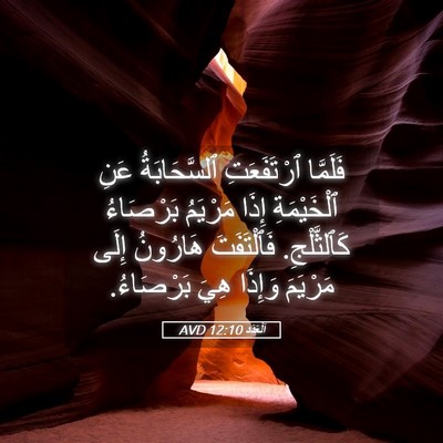 Picture 05 - اَلْعَدَد 12:10 AVD - فَلَمَّا ٱرْتَفَعَتِ - Bible Verse Picture