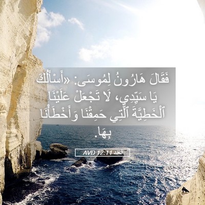 Picture 05 - اَلْعَدَد 12:11 AVD - فَقَالَ هَارُونُ لِمُوسَى: - Bible Verse Picture
