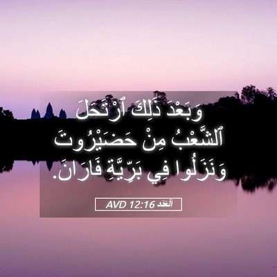 Picture 05 - اَلْعَدَد 12:16 AVD - وَبَعْدَ ذَلِكَ ٱرْتَحَلَ - Bible Verse Picture