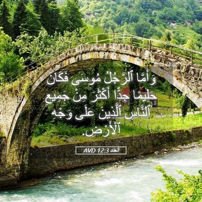 Picture 05 - اَلْعَدَد 12:3 AVD - وَأَمَّا ٱلرَّجُلُ مُوسَى - Bible Verse Picture