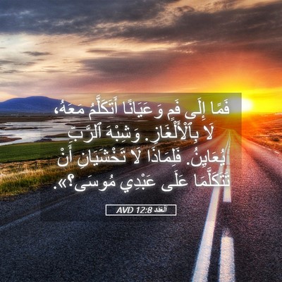Picture 05 - اَلْعَدَد 12:8 AVD - فَمًا إِلَى فَمٍ - Bible Verse Picture