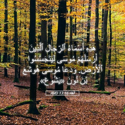 Picture 05 - اَلْعَدَد 13:16 AVD - هَذِهِ أَسْمَاءُ - Bible Verse Picture