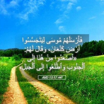 Picture 05 - اَلْعَدَد 13:17 AVD - فَأَرْسَلَهُمْ مُوسَى - Bible Verse Picture