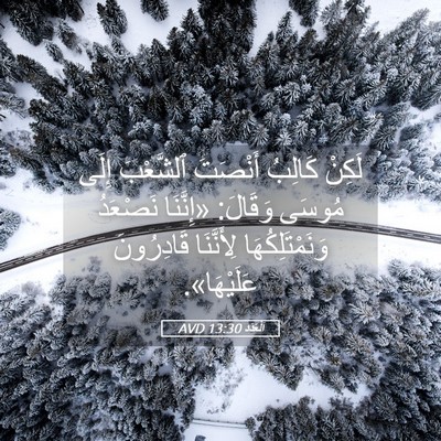 Picture 05 - اَلْعَدَد 13:30 AVD - لَكِنْ كَالِبُ أَنْصَتَ - Bible Verse Picture
