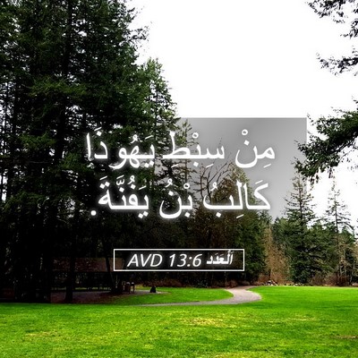 Picture 05 - اَلْعَدَد 13:6 AVD - مِنْ سِبْطِ يَهُوذَا - Bible Verse Picture