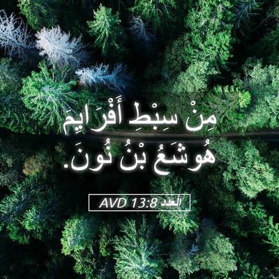 Picture 05 - اَلْعَدَد 13:8 AVD - مِنْ سِبْطِ أَفْرَايِمَ - Bible Verse Picture