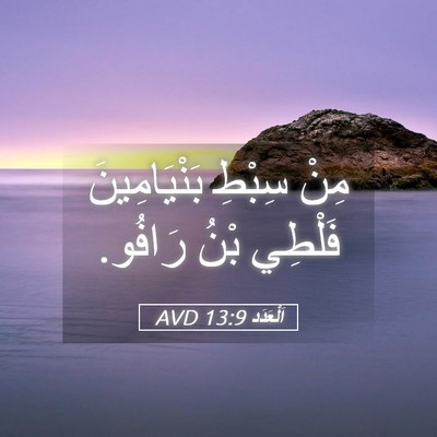 Picture 05 - اَلْعَدَد 13:9 AVD - مِنْ سِبْطِ بَنْيَامِينَ - Bible Verse Picture