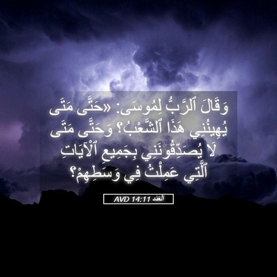 Picture 05 - اَلْعَدَد 14:11 AVD - وَقَالَ ٱلرَّبُّ لِمُوسَى: - Bible Verse Picture