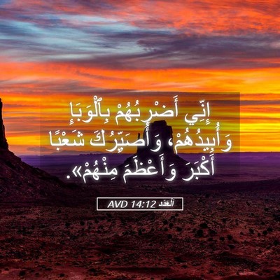 Picture 05 - اَلْعَدَد 14:12 AVD - إِنِّي أَضْرِبُهُمْ - Bible Verse Picture