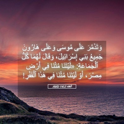 Picture 05 - اَلْعَدَد 14:2 AVD - وَتَذَمَّرَ عَلَى مُوسَى - Bible Verse Picture