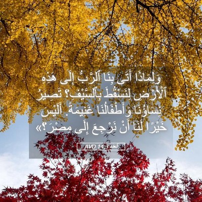 Picture 05 - اَلْعَدَد 14:3 AVD - وَلِمَاذَا أَتَى بِنَا - Bible Verse Picture