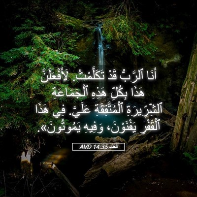 Picture 05 - اَلْعَدَد 14:35 AVD - أَنَا ٱلرَّبُّ قَدْ - Bible Verse Picture