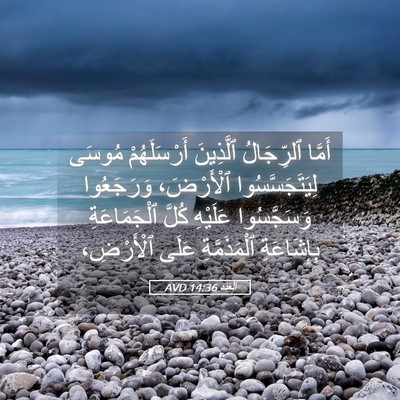 Picture 05 - اَلْعَدَد 14:36 AVD - أَمَّا ٱلرِّجَالُ - Bible Verse Picture