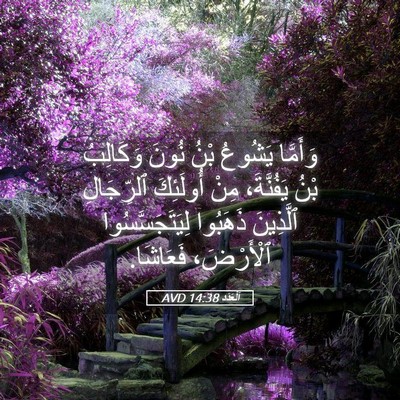 Picture 05 - اَلْعَدَد 14:38 AVD - وَأَمَّا يَشُوعُ بْنُ - Bible Verse Picture