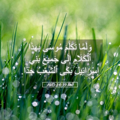 Picture 05 - اَلْعَدَد 14:39 AVD - وَلَمَّا تَكَلَّمَ مُوسَى - Bible Verse Picture
