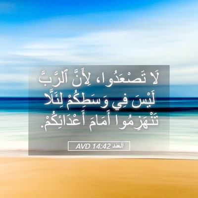 Picture 05 - اَلْعَدَد 14:42 AVD - لَا تَصْعَدُوا، لِأَنَّ - Bible Verse Picture