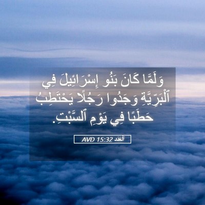 Picture 05 - اَلْعَدَد 15:32 AVD - وَلَمَّا كَانَ بَنُو - Bible Verse Picture