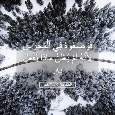 Picture 05 - اَلْعَدَد 15:34 AVD - فَوَضَعُوهُ فِي - Bible Verse Picture