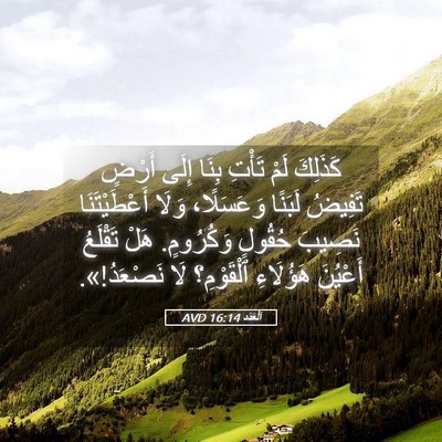 Picture 05 - اَلْعَدَد 16:14 AVD - كَذَلِكَ لَمْ تَأْتِ بِنَا - Bible Verse Picture