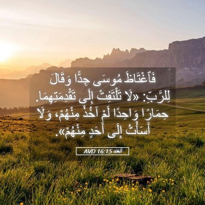 Picture 05 - اَلْعَدَد 16:15 AVD - فَٱغْتَاظَ مُوسَى جِدًّا - Bible Verse Picture