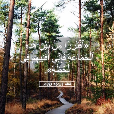 Picture 05 - اَلْعَدَد 16:21 AVD - «ٱفْتَرِزَا مِنْ بَيْنِ - Bible Verse Picture