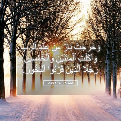 Picture 05 - اَلْعَدَد 16:35 AVD - وَخَرَجَتْ نَارٌ مِنْ - Bible Verse Picture