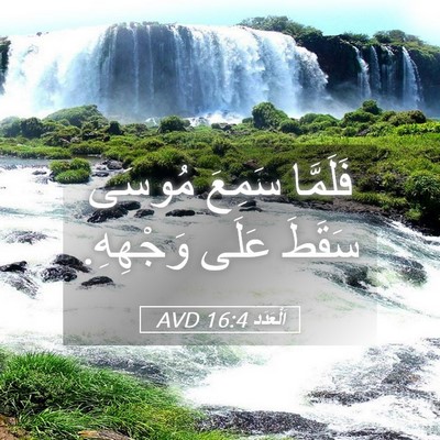 Picture 05 - اَلْعَدَد 16:4 AVD - فَلَمَّا سَمِعَ مُوسَى - Bible Verse Picture