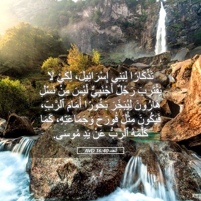 Picture 05 - اَلْعَدَد 16:40 AVD - تَذْكَارًا لِبَنِي - Bible Verse Picture