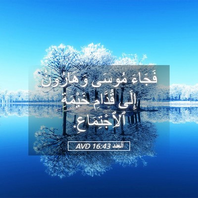 Picture 05 - اَلْعَدَد 16:43 AVD - فَجَاءَ مُوسَى وَهَارُونُ - Bible Verse Picture