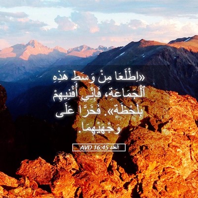 Picture 05 - اَلْعَدَد 16:45 AVD - «اِطْلَعَا مِنْ وَسَطِ - Bible Verse Picture
