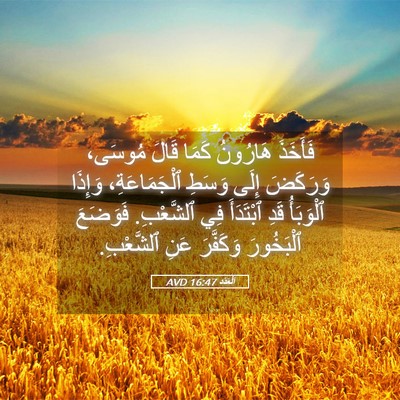Picture 05 - اَلْعَدَد 16:47 AVD - فَأَخَذَ هَارُونُ كَمَا - Bible Verse Picture