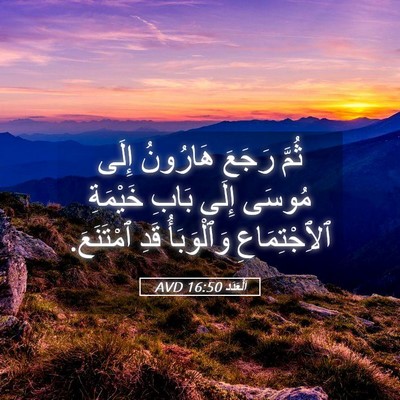 Picture 05 - اَلْعَدَد 16:50 AVD - ثُمَّ رَجَعَ هَارُونُ - Bible Verse Picture